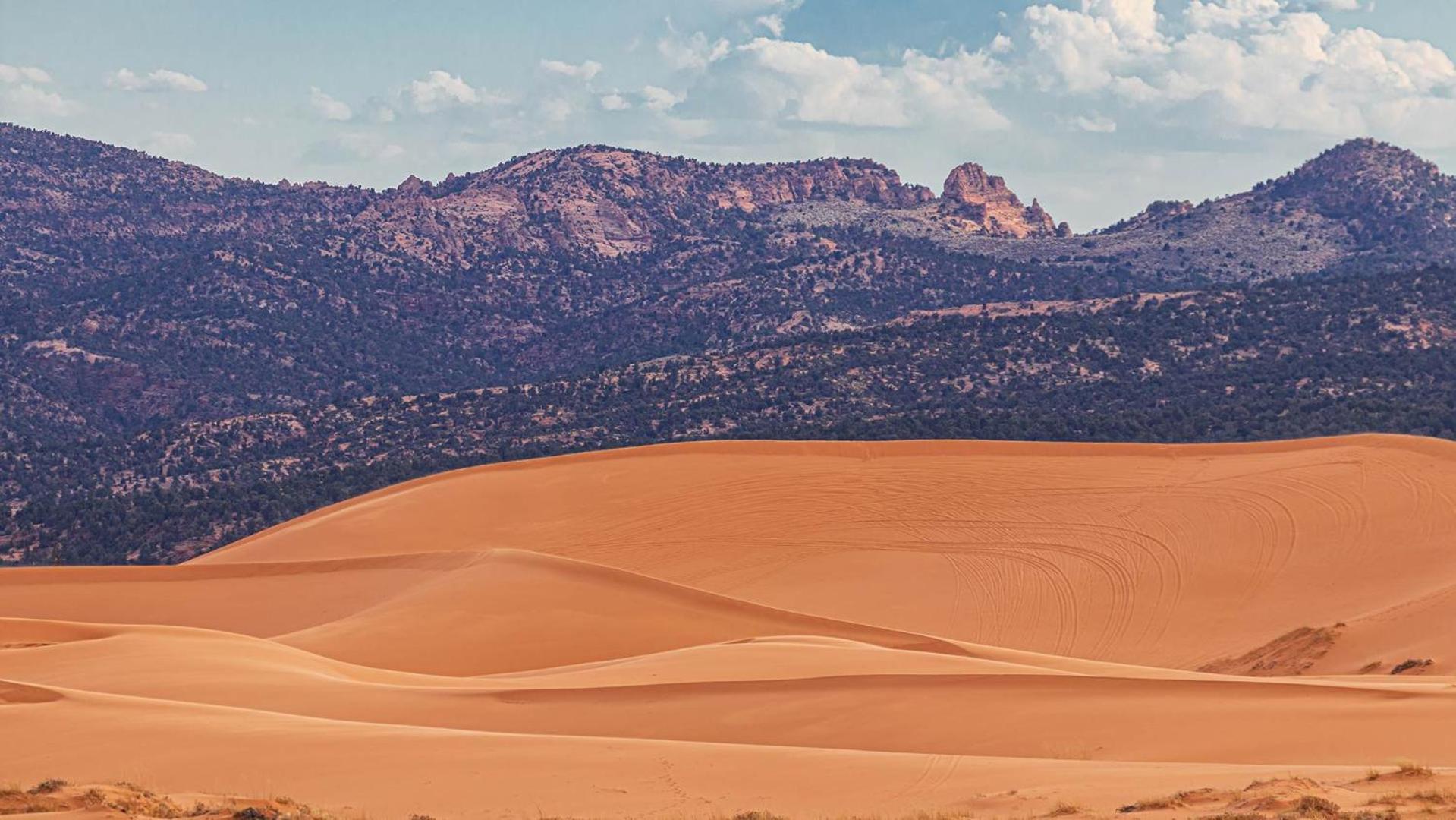 Southern Utah Hidden Gem Near Zion National Park Orderville Kültér fotó